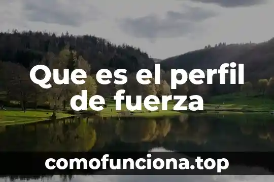 Que es un perfil web 6 Que es el perfil de fuerza