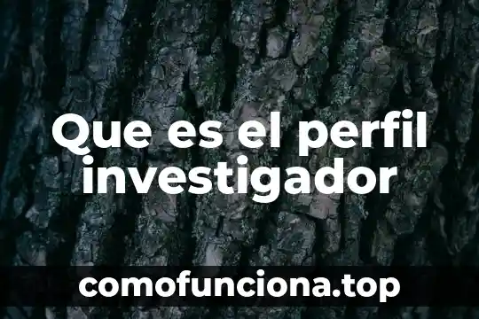 Que es un perfil web 5 Que es el perfil investigador