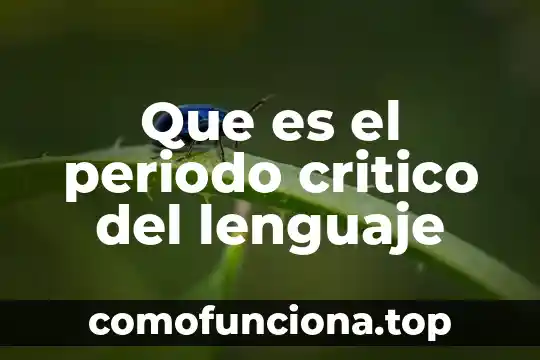 Que es pensamiento critico y sus elementos 6 Que es el periodo critico del lenguaje
