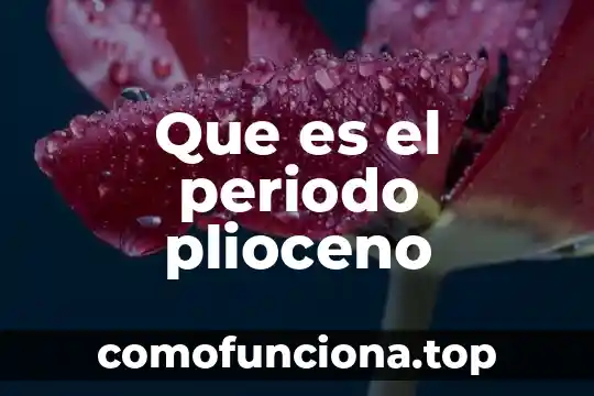 Que es un periodo protoniolitico 8 Que es el periodo plioceno