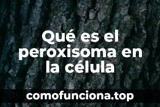 Qué es el centiolos de la célula animal 5 Qué es el peroxisoma en la célula