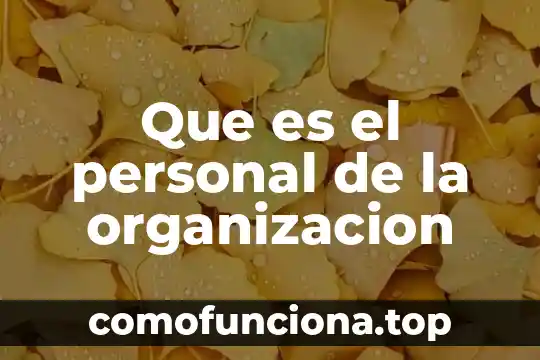 Que es la organizacion mundial de aduana 5 Que es el personal de la organizacion