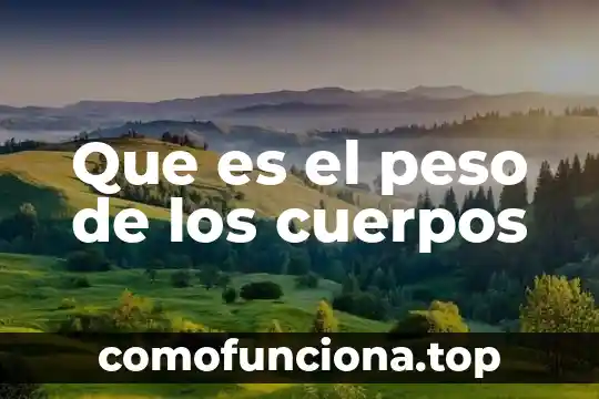 Que es la cinetica de cuerpos rigidos 3 Que es el peso de los cuerpos