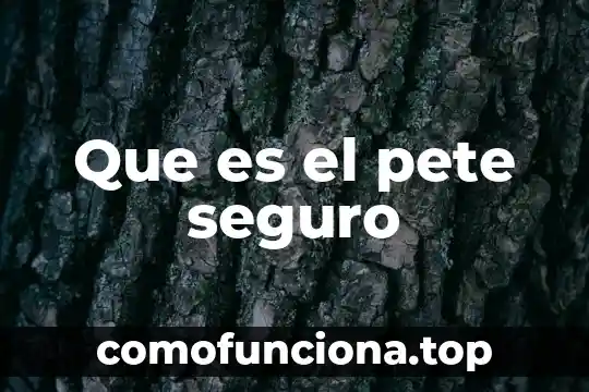 Que es el seguro condusef 6 Que es el pete seguro
