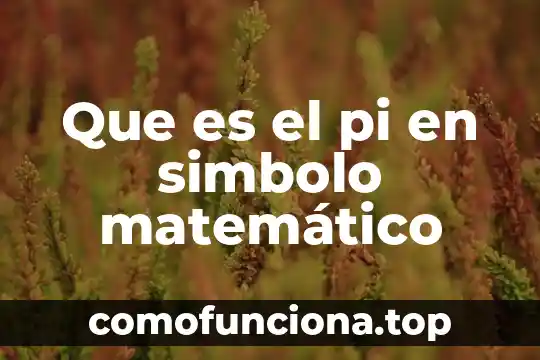 Qué es un espiral de durero matemático 5 Que es el pi en simbolo matemático