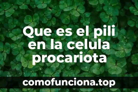Que es significado de celula 7 Que es el pili en la celula procariota