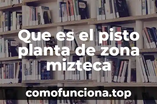Que es la zona early bird EDC Mexico 8 Que es el pisto planta de zona mizteca