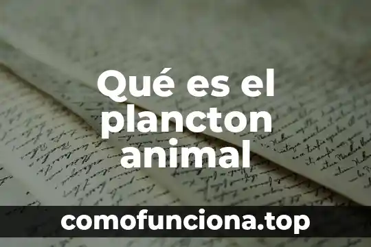Que es la resignacion de los conocimientos 6 Qué es el plancton animal
