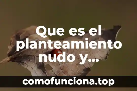 Que es significa indice desarrollo y desenlace 3 Que es el planteamiento nudo y desenlace en los cuentos