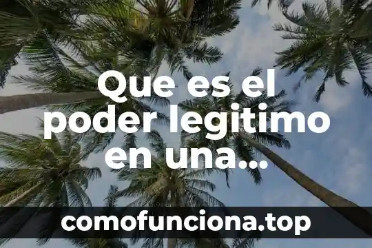 Que es el la organizacion en la danza 3 Que es el poder legitimo en una organizacion