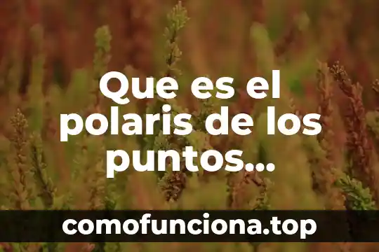 Según la teoría causalista qué es conducta 6 Que es el polaris de los puntos carnidales