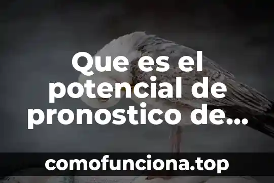 Que es la diferencia de potencial definición 7 Que es el potencial de pronostico de ventas