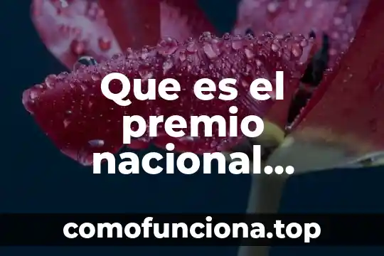 Que es el monumento nacional 3 Que es el premio nacional ceneval
