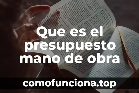 Que es la trama o argumento de una obra dramatica 8 Que es el presupuesto mano de obra