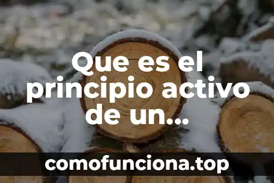 Qué es el principio pro persona jurisprudencia 5 Que es el principio activo de un medicamento universidad