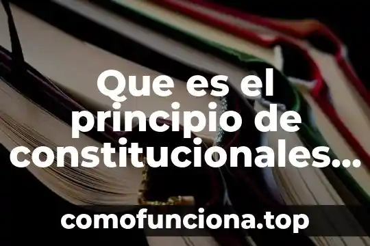 Que es un principio de acción en amparo 7 Que es el principio de constitucionales en materia fiscal juridica