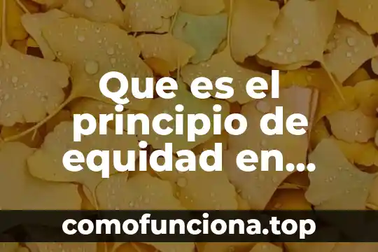 Derecho laboral que es adiestramiento 7 Que es el principio de equidad en derecho laboral