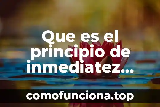 Qué es el principio pro persona jurisprudencia 7 Que es el principio de inmediatez materia agraria