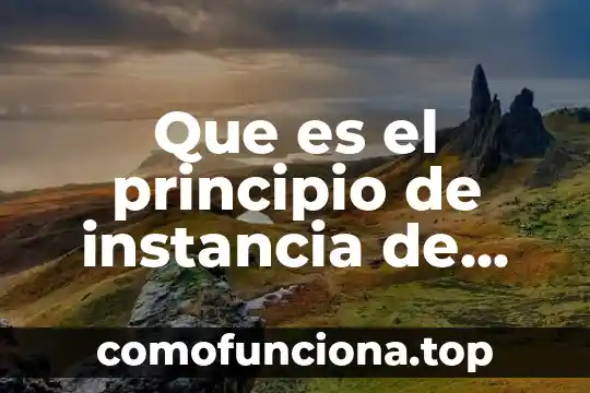 Que es parte protuberante 6 Que es el principio de instancia de parte agraviada