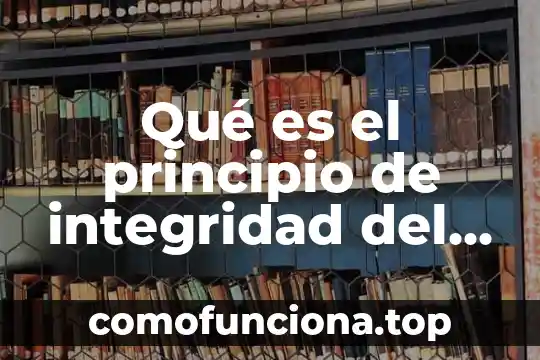 Que es un principio de acción en amparo 4 Qué es el principio de integridad del pago