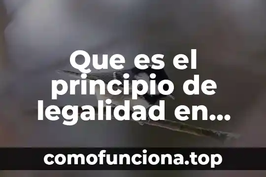 Qué es un relevadores para motores eléctricos 7 Que es el principio de legalidad en derecho