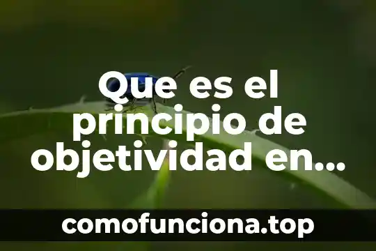 Qué es el principio pro persona jurisprudencia 3 Que es el principio de objetividad en materia electoral