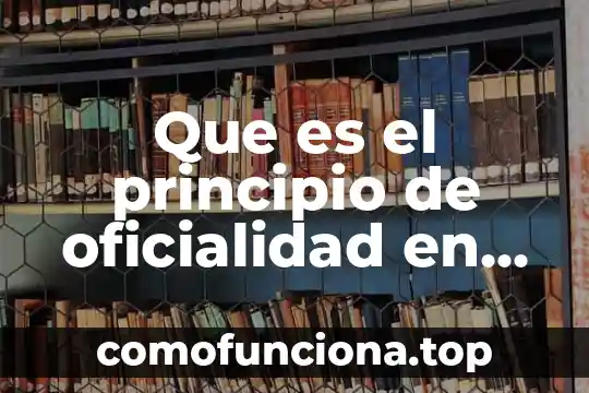 Qué es recepción de la materia 6 Que es el principio de oficialidad en materia penal