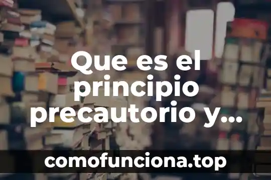 Qué es la explicación en desarrollo humano 3 Que es el principio precautorio y el desarrollo sustentable