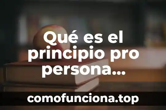 Qué es un principio según Kant 3 Qué es el principio pro persona jurisprudencia