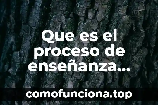 Que es educacion fisica segun piaget 5 Que es el proceso de enseñanza aprendizaje segun piaget