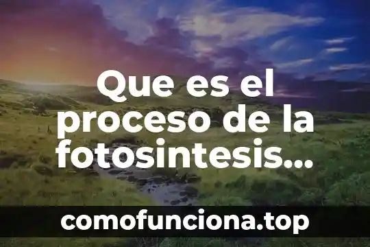 Que es la fotosintesis solo el nombre 5 Que es el proceso de la fotosintesis para niños