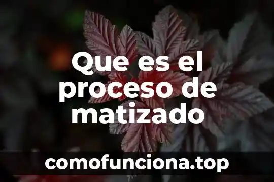 Que es el proceso de adquisicion de territorio deshabitado historia 5 Que es el proceso de matizado
