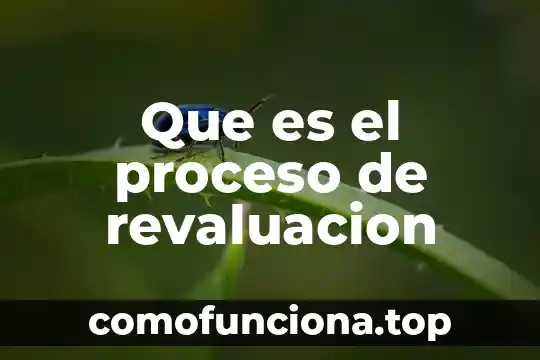 Que es proceso de vinculación y difusión de la cultura 6 Que es el proceso de revaluacion