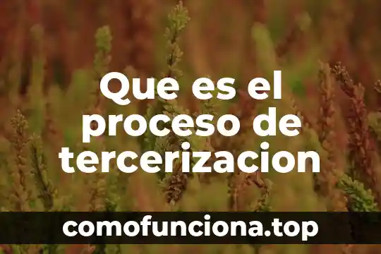Que es proceso de vinculación y difusión de la cultura 8 Que es el proceso de tercerizacion