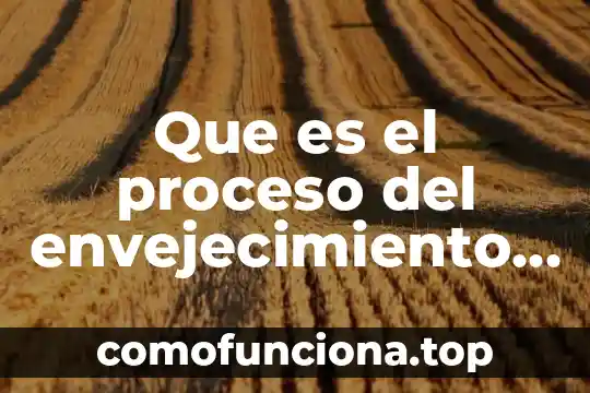 Que es ser rider profesional 7 Que es el proceso del envejecimiento en el ser humano