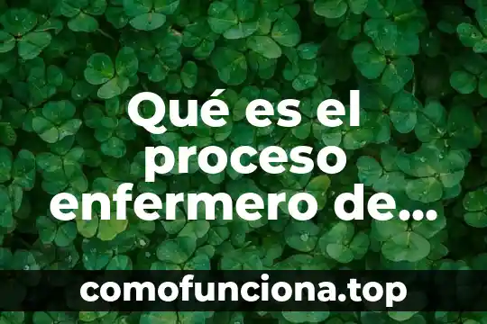 Que es lo que se estudiar para ser enfermero 3 Qué es el proceso enfermero de Marjory