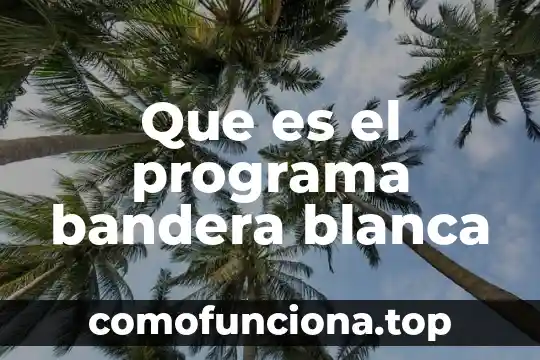 Que es programa apsi sistemas 4 Que es el programa bandera blanca