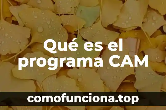 Que es el dolor de rs segun las creencias populares 5 Qué es el programa CAM