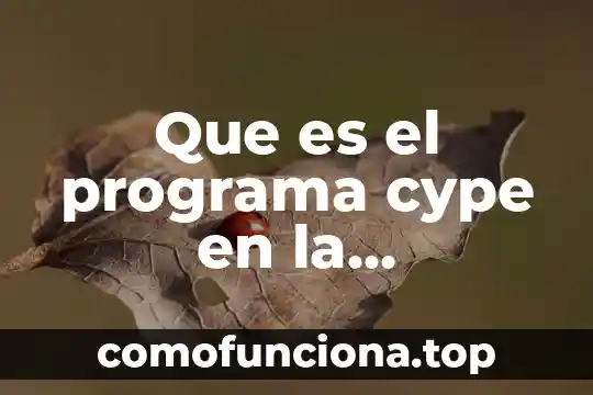Que es el programa bandera blanca 5 Que es el programa cype en la construcción