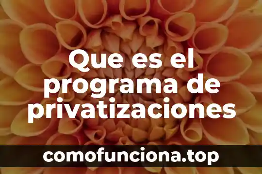 Que es el programa bandera blanca 8 Que es el programa de privatizaciones