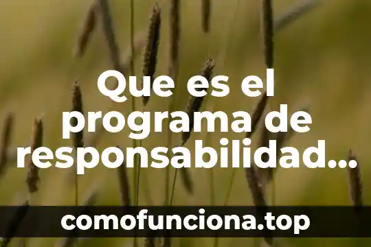 Que es cultura compartida 4 Que es el programa de responsabilidad compartida