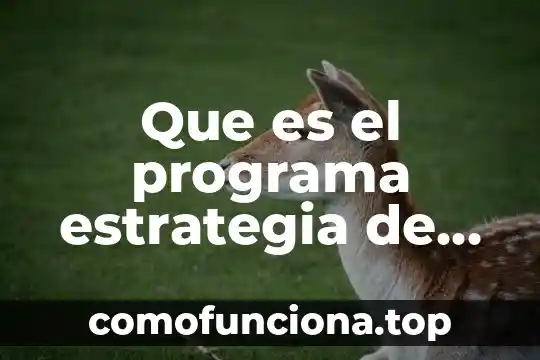 Que es la planta arq 7 Que es el programa estrategia de lectura