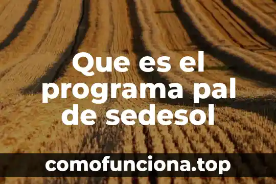 Que es el programa bandera blanca 3 Que es el programa pal de sedesol