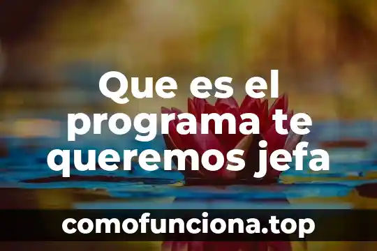 Que es un programa crakeado 5 Que es el programa te queremos jefa