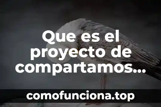 Qué es un proyecto insignia 6 Que es el proyecto de compartamos banco