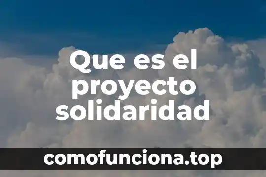Qué es un proyecto insignia 3 Que es el proyecto solidaridad