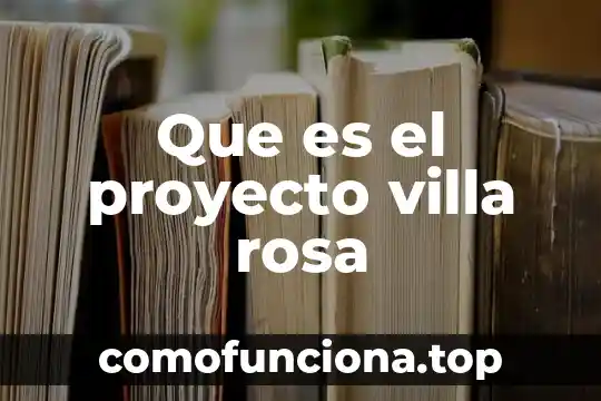 Qué es un proyecto insignia 8 Que es el proyecto villa rosa