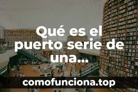 Que es una serie de animación 5 Qué es el puerto serie de una computadora