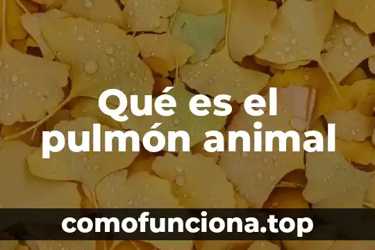 Que es una mordedura de animal 7 Qué es el pulmón animal