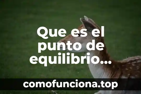 Que es punto final 6 Que es el punto de equilibrio instrumentos de presupuestacion empresarial